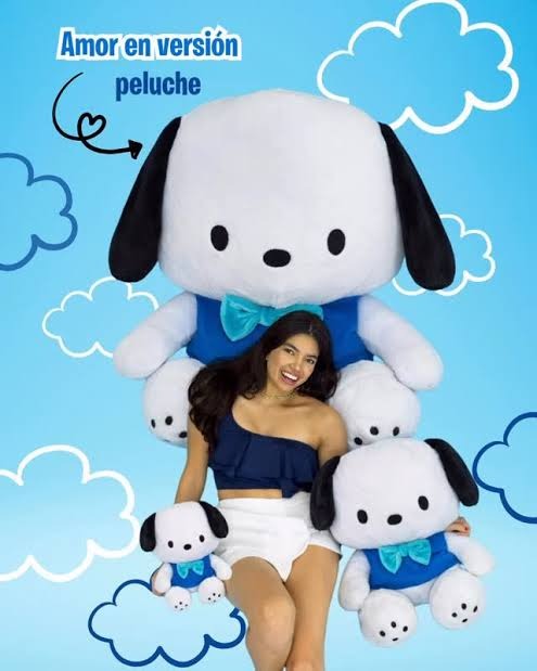 PELUCHE POCHACO KAWAI